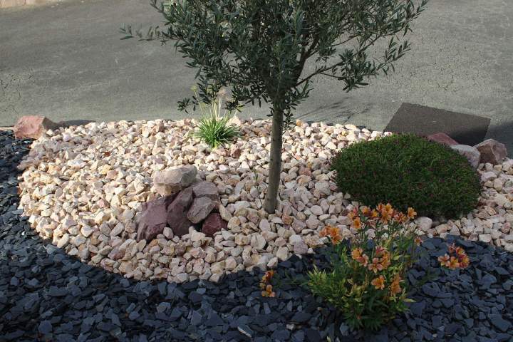 Service à la personne Fontenay-le-Comte