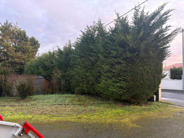 Entretien de jardin Fontenay-le-Comte