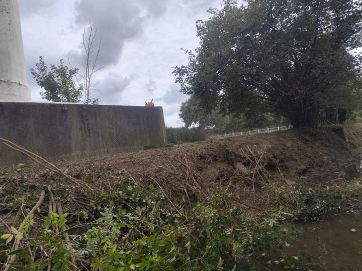 Travaux de défrichage Fontenay-le-Comte