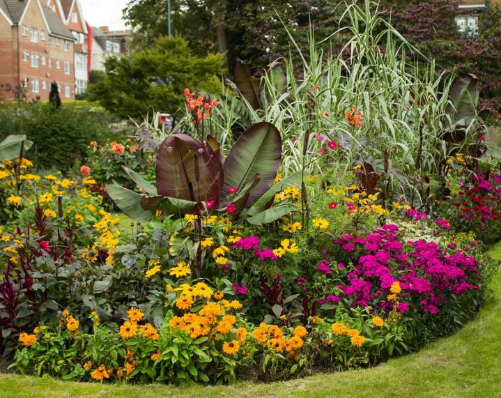 Aménagement paysager Fontenay-le-Comte
